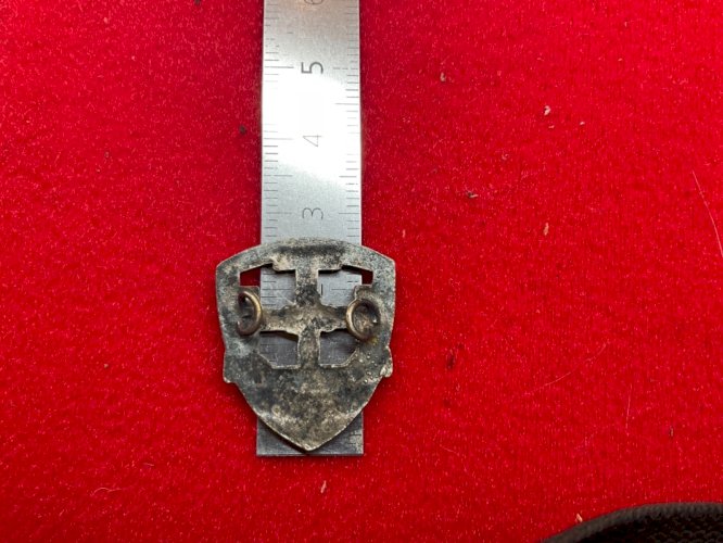 INSIGNE BADGE DES SCOUTS DE FRANCE - SCOUTISMES .