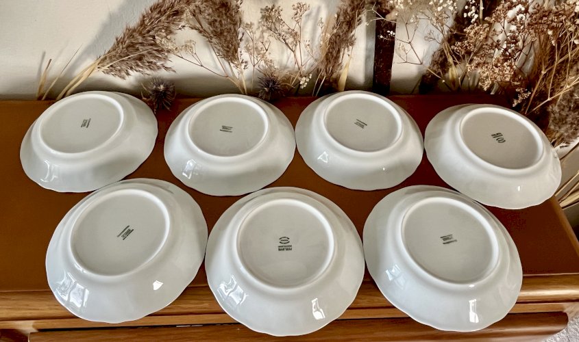 Intemporel - Lot n° 9 - 10 assiettes calottes California - 19 cm - Deshoulières - Limoges