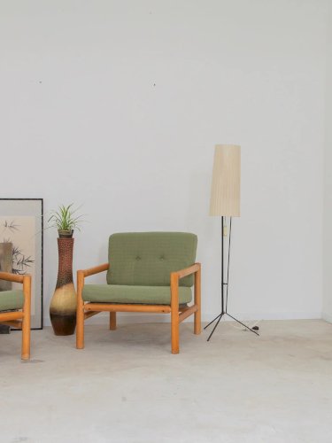 Jakob, la paire de fauteuils verts N°128