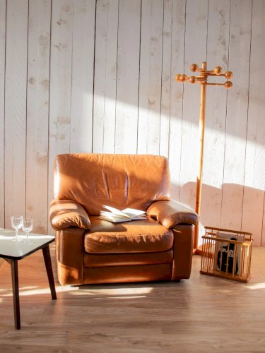 Jakob, le fauteuil en cuir N°733