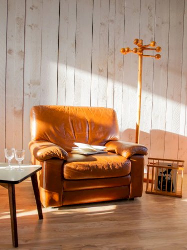 Jakob, le fauteuil en cuir N°733