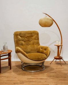 Jakob, le fauteuil Michel Cadestin N°458