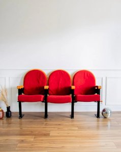 Jakob, the Parisian theater chairs No. 343