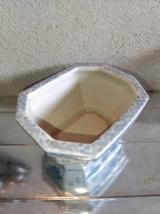 dot