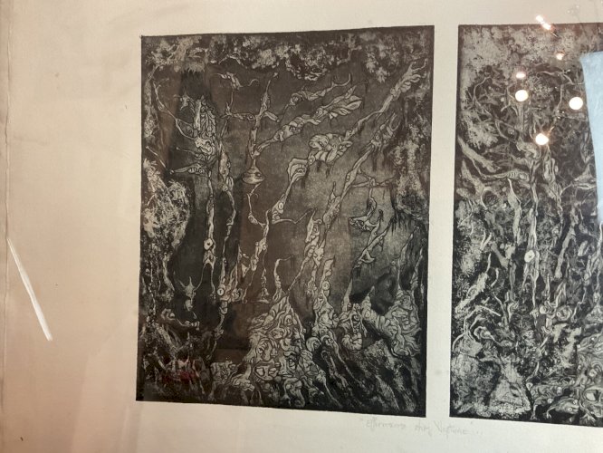 Jean-Marie GUINY  gravure signée la capture