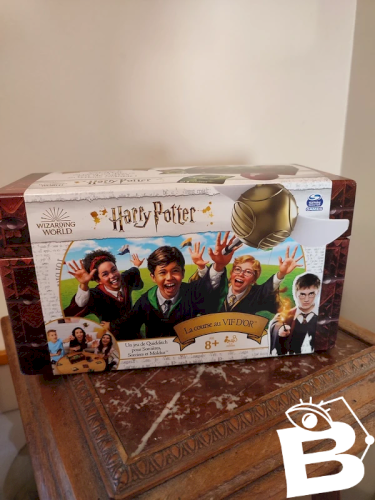 Jeu Harry Potter la course au vif d or neuf