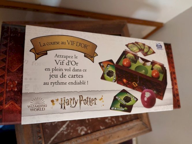 Jeu Harry Potter la course au vif d or neuf