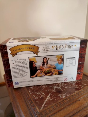Jeu Harry Potter la course au vif d or neuf