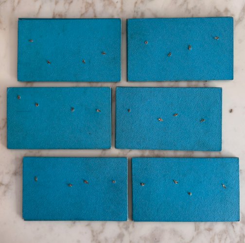 Jeu Loto Mobile Le plus Amusant des Lotos fin XIXe M3726