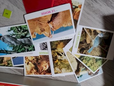 Jeux de société Passeport pour la nature