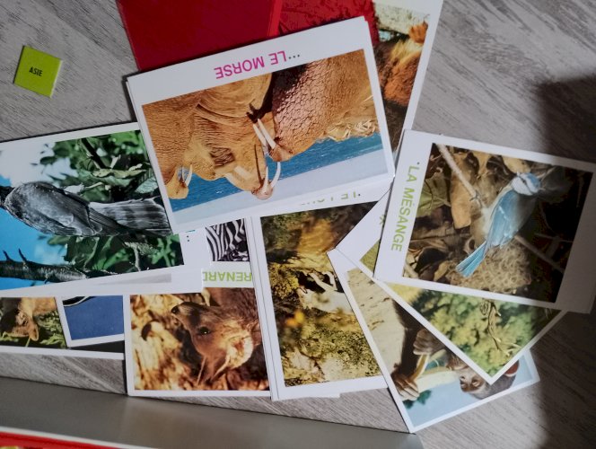 Jeux de société Passeport pour la nature