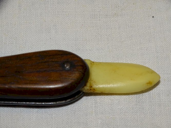 -JOLI ANCIEN COUTEAU GREFFOIR DE JARDINIER SANS MARQUE APPARENTE COLLECTION   D