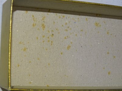 dot