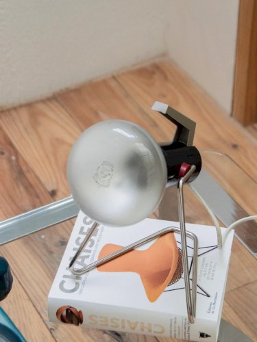 Julia, la lampe à poser Charlotte Perriand N°542