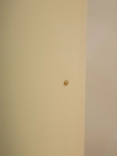 Julien, le lampadaire fin en rotin N°149