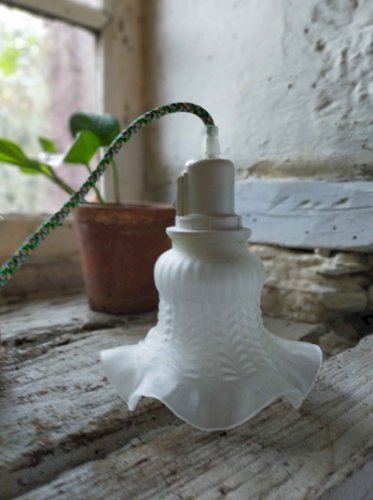Lampe corolle de verre opaque - douille interrupteur