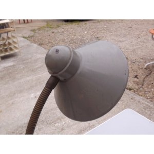 dot