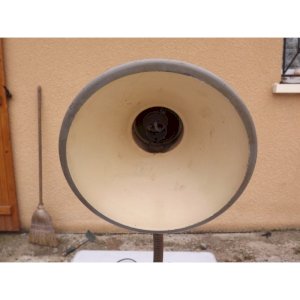 dot