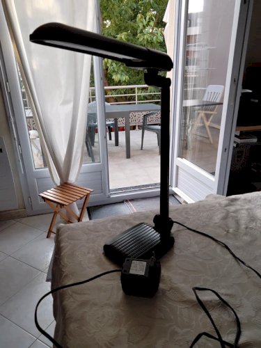 Lampe de bureau LIVAL senior 11w.