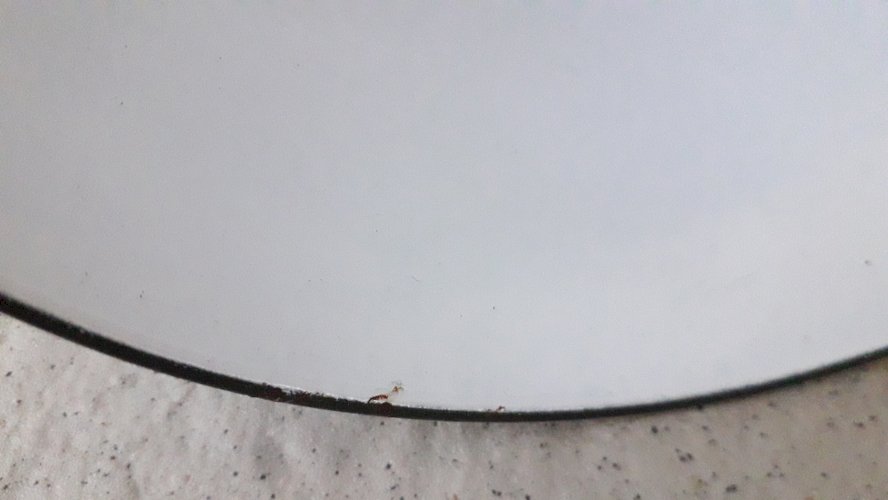 Lampe ou applique d'atelier