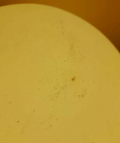 Lampe œuf Arnold Berges ,1980