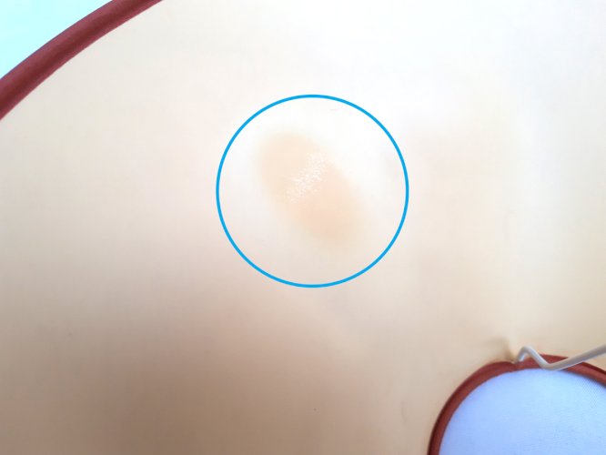 Lampe pied bronze doré 19ème toile de Jouy aux putti