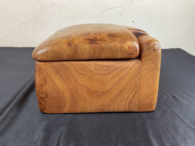 LECOMPTE BOITE MODERNISTE FORME-LIBRE SHABBY-CHIC Chapo Noll ART POPULAIRE