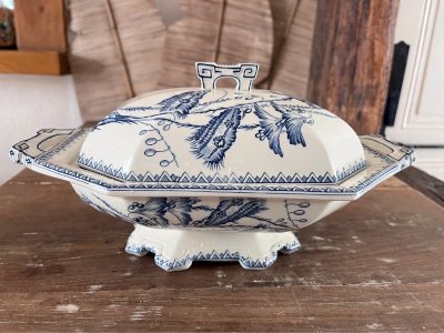 Clairefontaine vegetable dish model Indiana