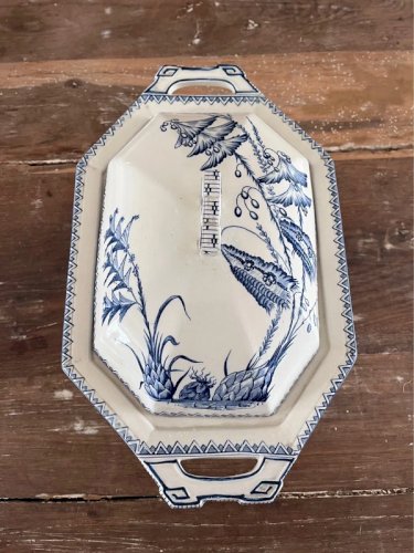 Légumier Clairefontaine modèle Indiana