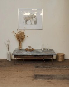 Léonie, the industrial coffee table No. 368