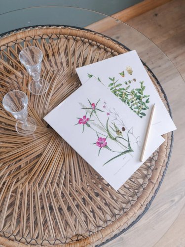 Léonie, la table basse en rotin N°346