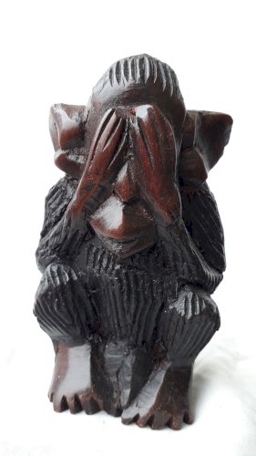 Les 3 singes de la sagesse