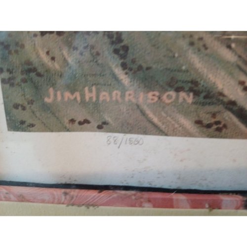 Lithographie  Coca Cola  de Jim Harrison