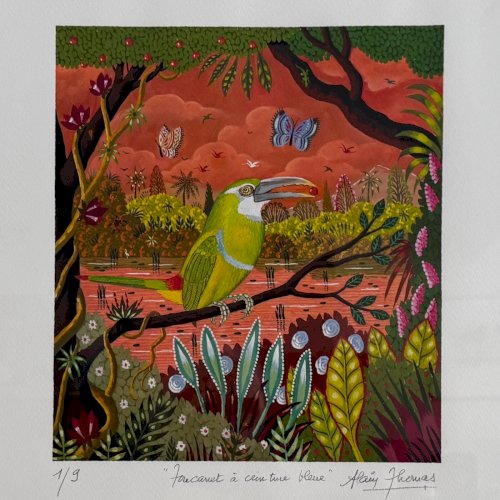 Lithographie contresignée Alain Thomas oiseau toucanet à ceinture bleue A5877