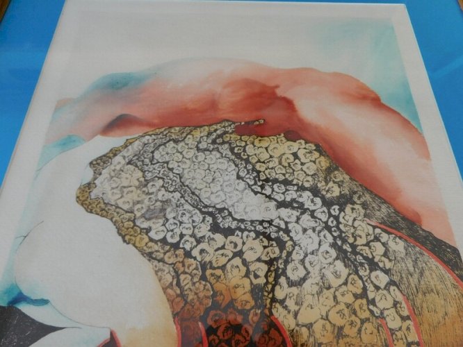 LITHOGRAPHIE DE LAMAISON 81