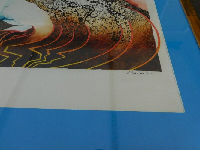 LITHOGRAPHIE DE LAMAISON 81
