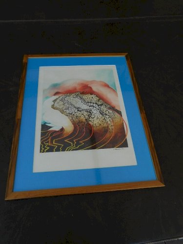 LITHOGRAPHIE DE LAMAISON 81