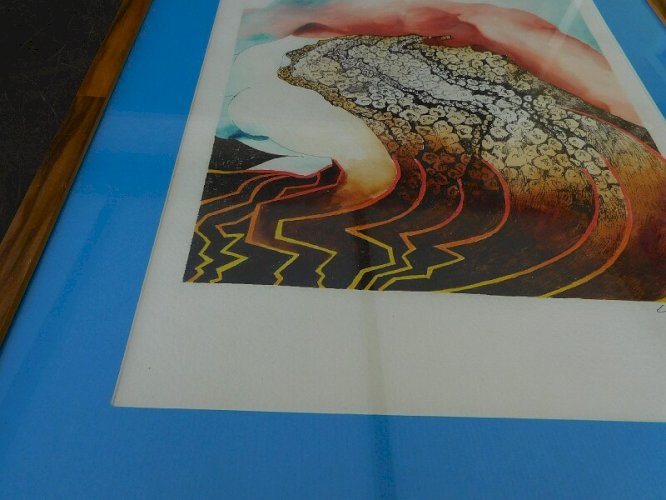 LITHOGRAPHIE DE LAMAISON 81
