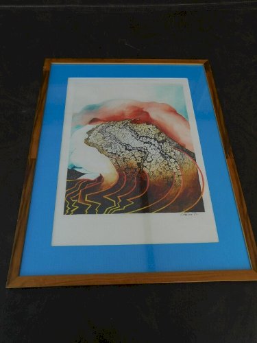 LITHOGRAPHIE DE LAMAISON 81