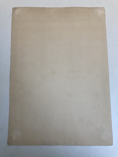 Lithographie Gravure Estampe XIXe 1900 Jacques Wely Fille Oiseau Ancien