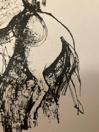 Lithographie Juan Carlos CASTAGNINO Gravures Chevaux Cavalier Tauromachie 1960