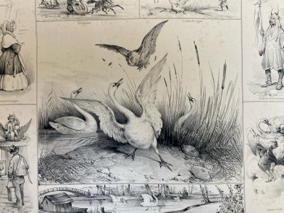 Lithographie Leda Cygne Jupiter Buffon XIXe Gravure Estampe Art Ancien