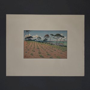 Lithographie par Henri Rivière Douarnenez vu du Ris A5912