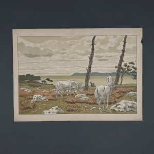 Lithographie par Henri Rivière Les Aspects de la Nature - La Baie A5486