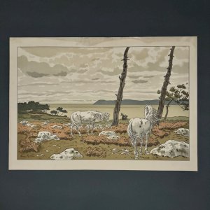 Lithographie par Henri Rivière Les Aspects de la Nature - La Baie A5588