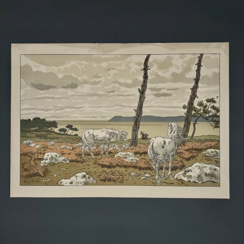 Lithographie par Henri Rivière Les Aspects de la Nature - La Baie A5588