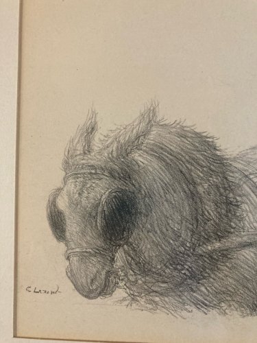 Lithographie Portrait Âne Animal 1930 À Identifier Gravure Litho Art Estampe