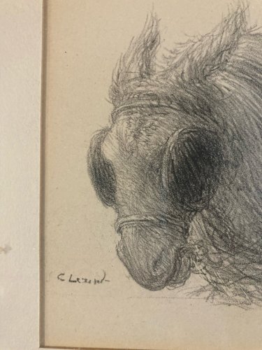 Lithographie Portrait Âne Animal 1930 À Identifier Gravure Litho Art Estampe