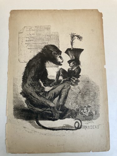 Lithographie Portrait Durandeau 1930 À Identifier Litho Charles Perey Singe Art