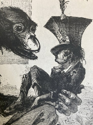 Lithographie Portrait Durandeau 1930 À Identifier Litho Charles Perey Singe Art